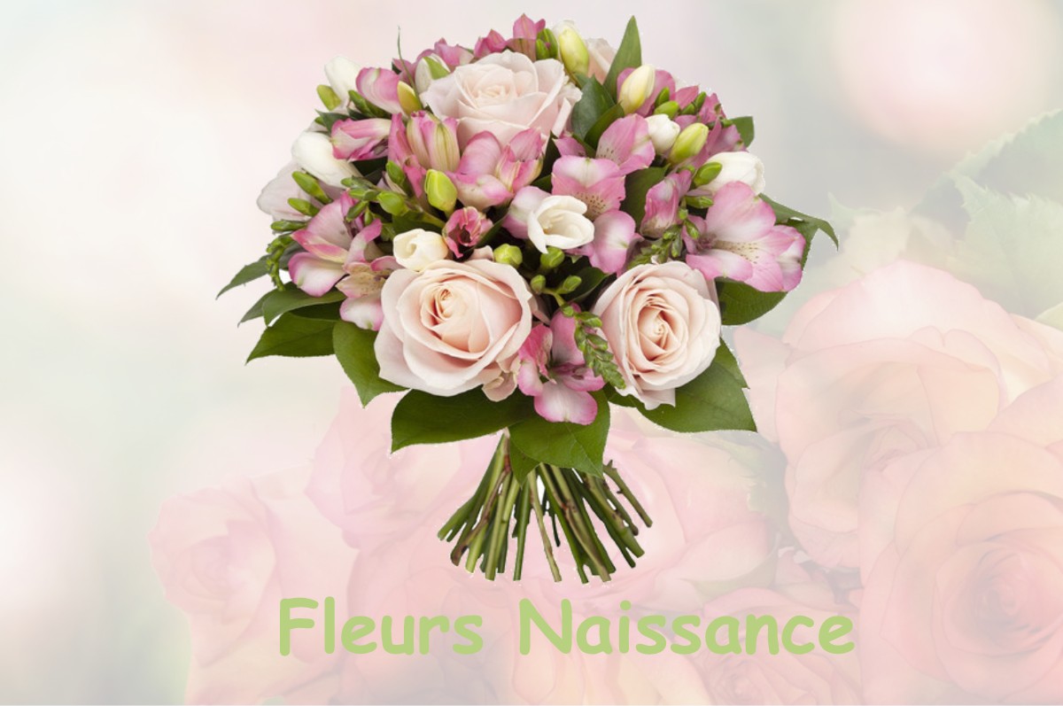 fleurs naissance MAUZAC