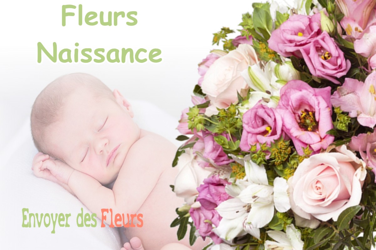 lIVRAISON FLEURS NAISSANCE à MAUZAC